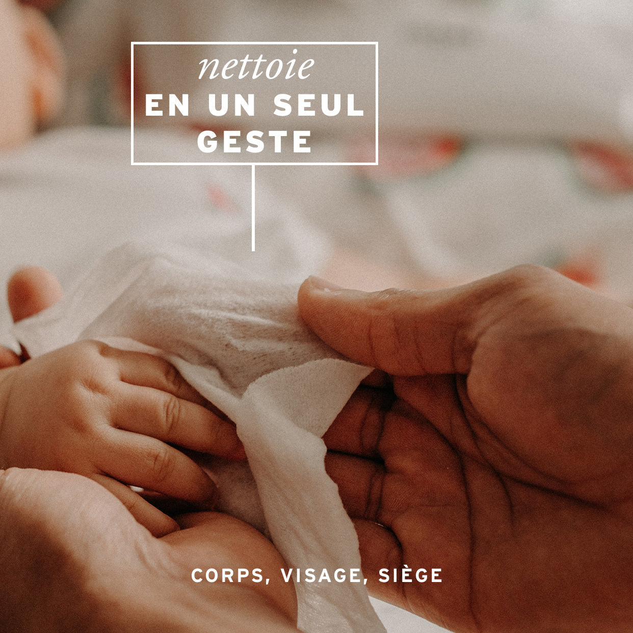 Les lingettes à l'eau compostables